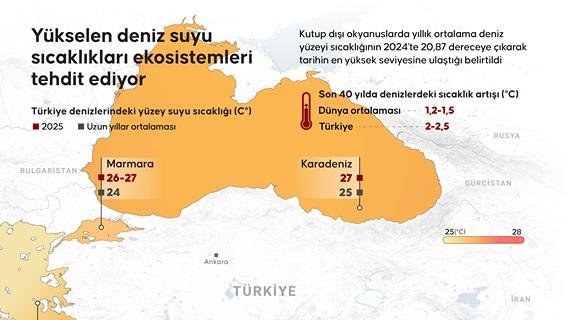 İnfografik
