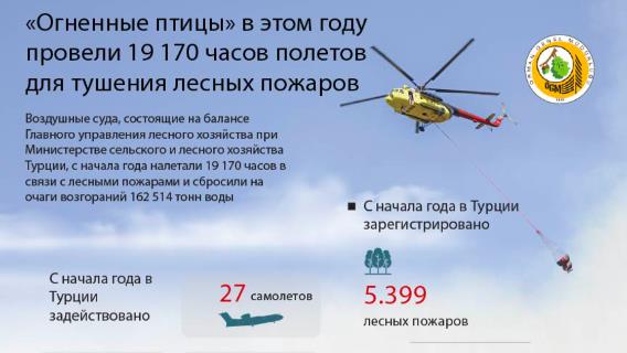 инфографика