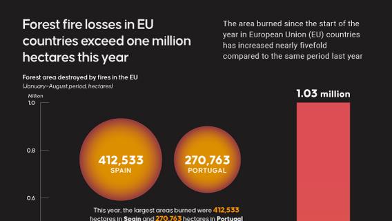 Infographic