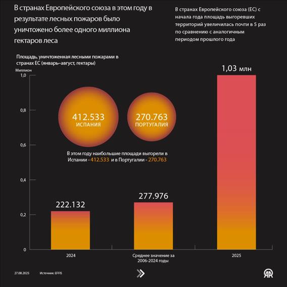 В странах ЕС в этом году в результате лесных пожаров было уничтожено более одного миллиона гектаров леса