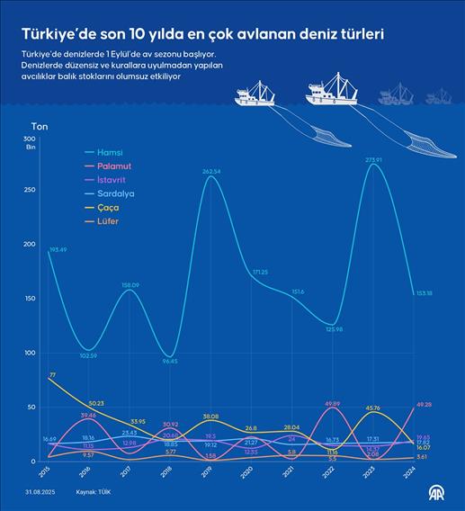 Türkiye’de son 10 yılda en çok avlanan deniz türleri