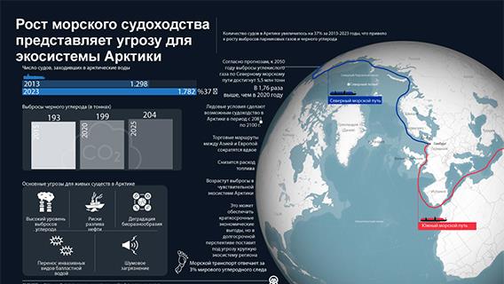 инфографика
