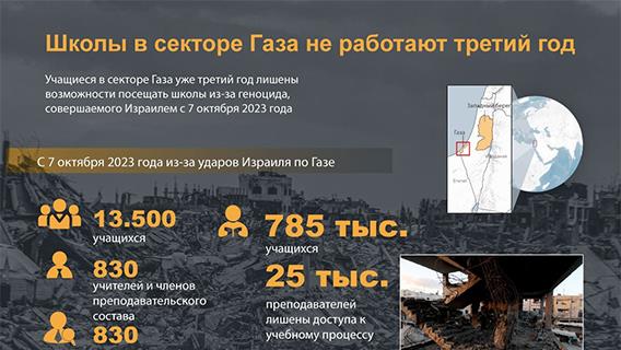 инфографика