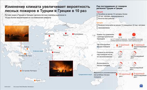 Изменение климата увеличивает вероятность лесных пожаров в Турции и Греции в 10 раз
