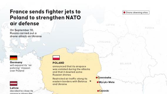 Infographic