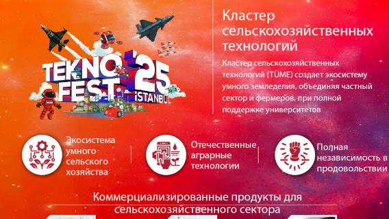 инфографика