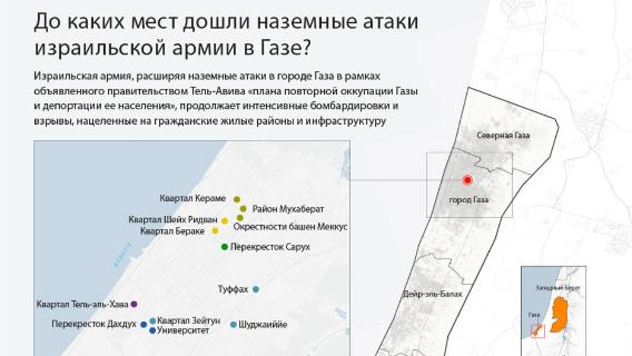инфографика