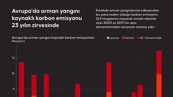 Avrupa'da orman yangını kaynaklı karbon emisyonu 23 yılın zirvesinde