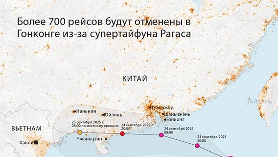 инфографика