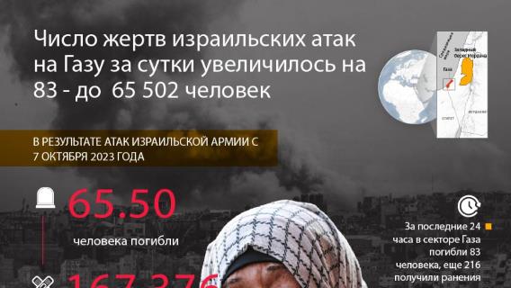 инфографика