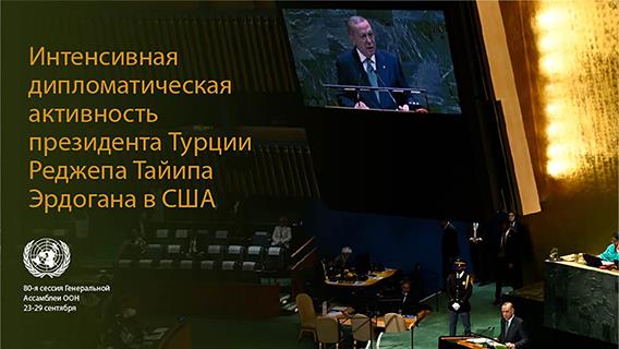 инфографика
