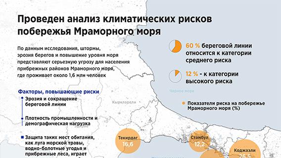 инфографика