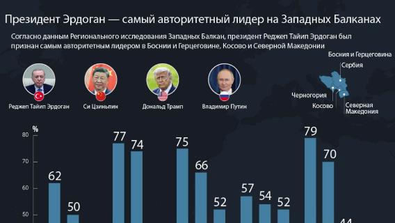 инфографика
