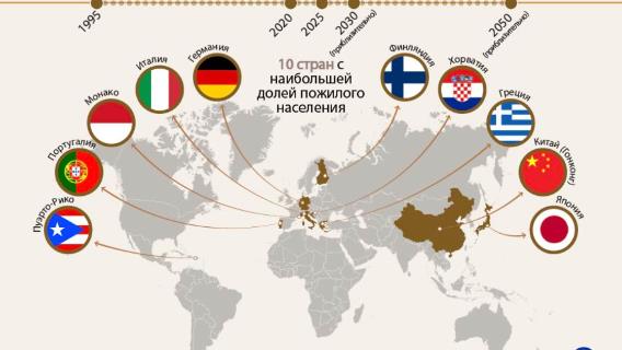 инфографика