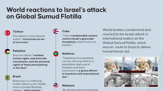 Infographic