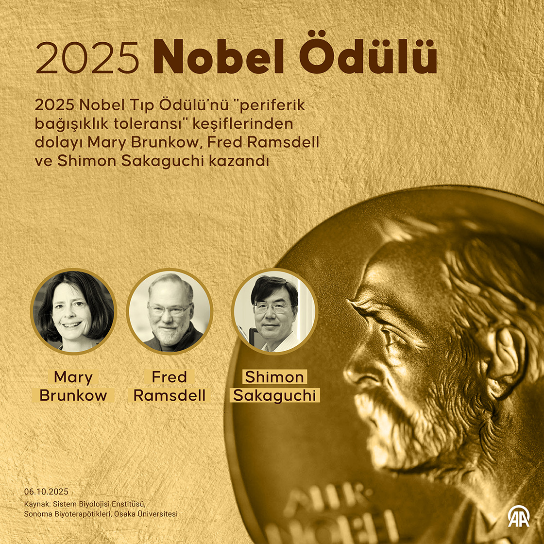 2025 Nobel Ödülü