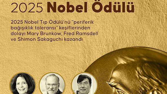 2025 Nobel Ödülü