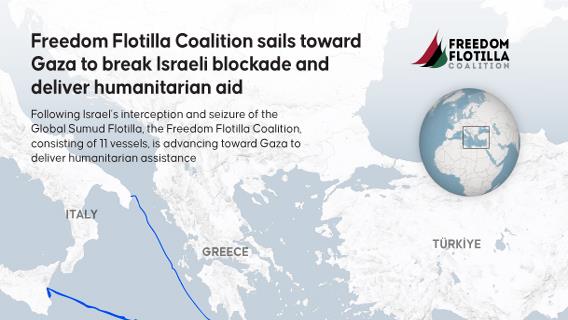 Infographic