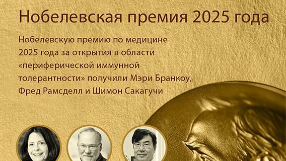 инфографика