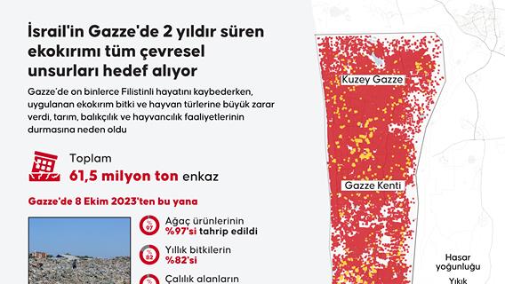 İsrail'in Gazze'de 2 yıldır süren ekokırımı tüm çevresel unsurları hedef alıyor