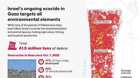 Israel’s ongoing ecocide in Gaza targets all environmental elements