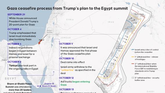 Infographic