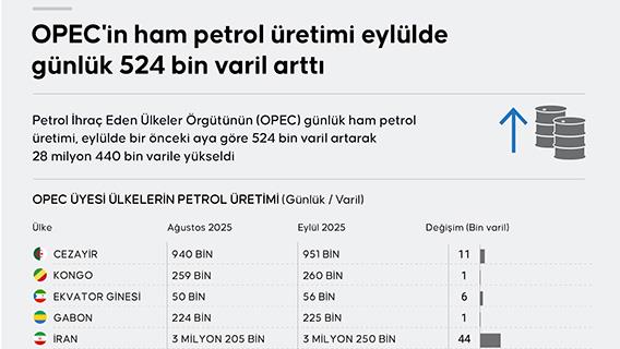 İnfografik