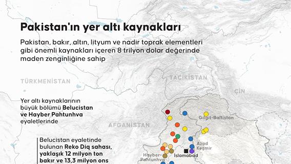 İnfografik