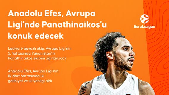 İnfografik