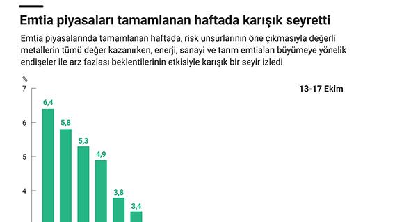İnfografik