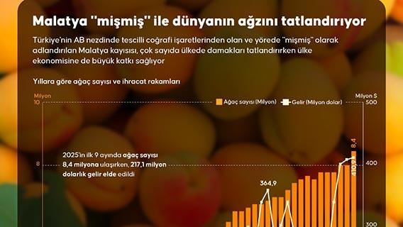 Malatya "mişmiş" ile dünyanın ağzını tatlandırıyor
