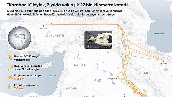 "Karahacılı" leylek, 3 yılda yaklaşık 22 bin kilometre katetti