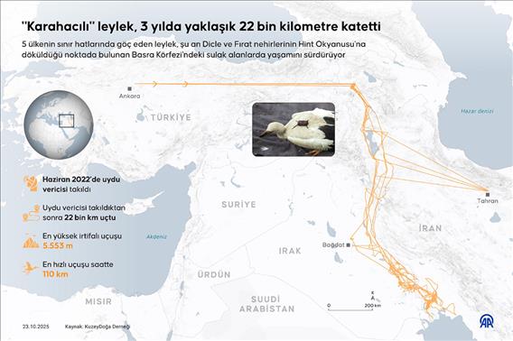 "Karahacılı" leylek, 3 yılda yaklaşık 22 bin kilometre katetti