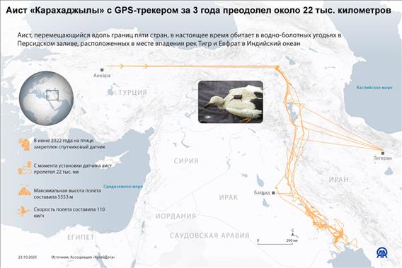 Аист «Карахаджылы» с GPS-трекером за 3 года преодолел около 22 тыс. километров