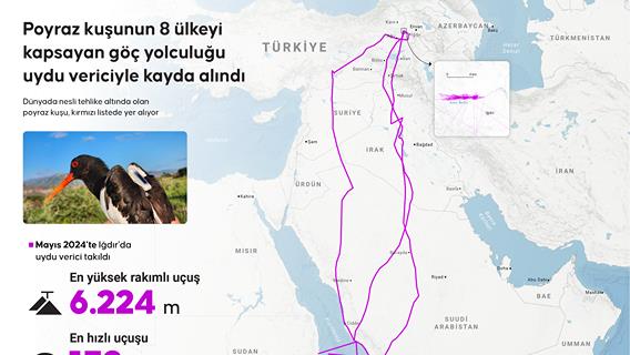 Poyraz kuşunun 8 ülkeyi kapsayan göç yolculuğu uydu vericiyle kayda alındı