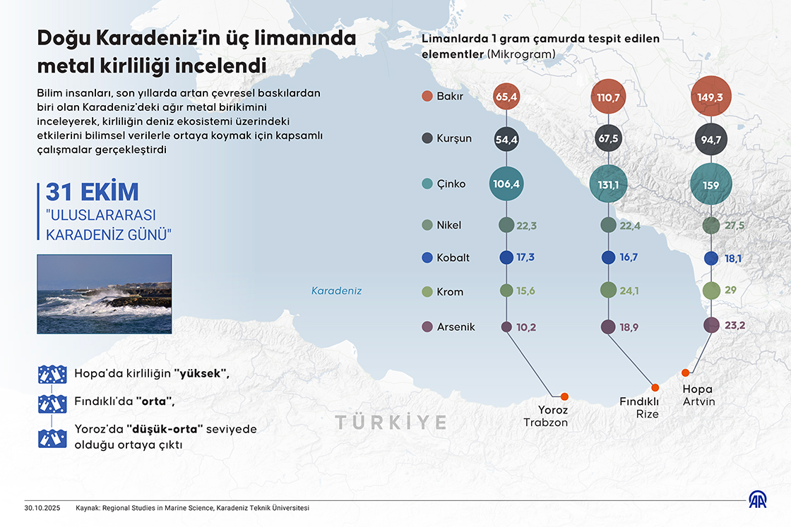 Doğu Karadeniz'in üç limanında metal kirliliği incelendi