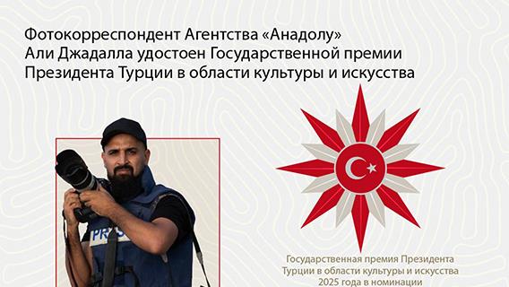 инфографика