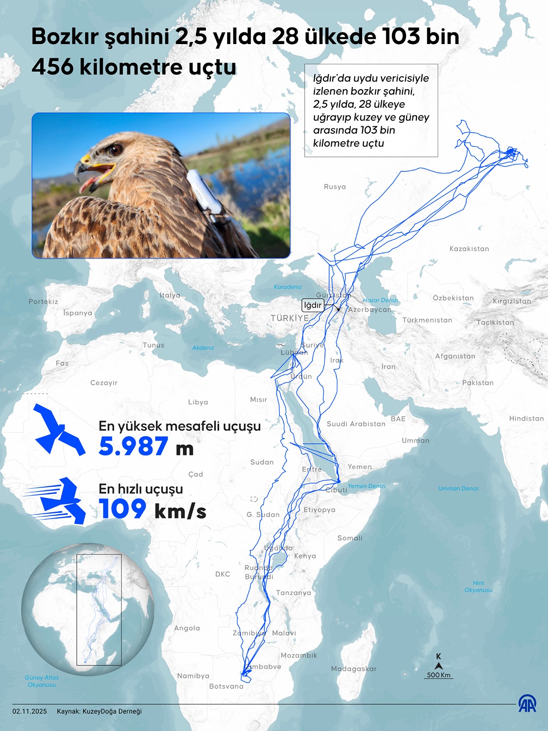 Bozkır şahini 2,5 yılda 28 ülkede 103 bin 456 kilometre uçtu