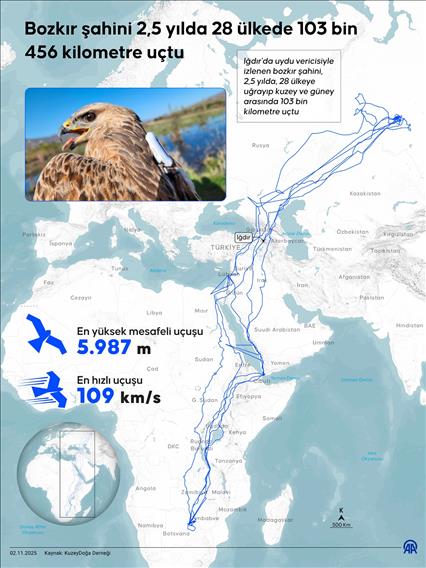 Bozkır şahini 2,5 yılda 28 ülkede 103 bin 456 kilometre uçtu
