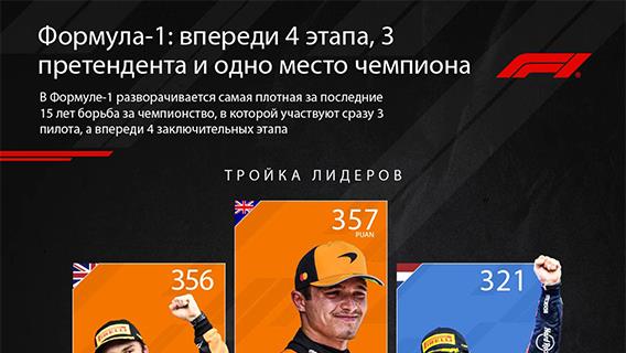 инфографика