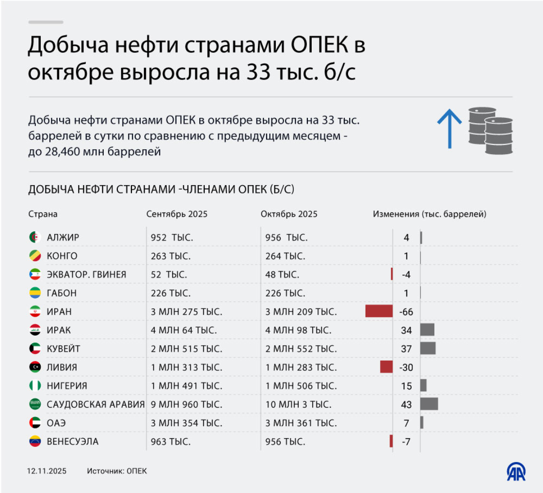 Добыча нефти странами ОПЕК в октябре выросла на 33 тыс. б/с 