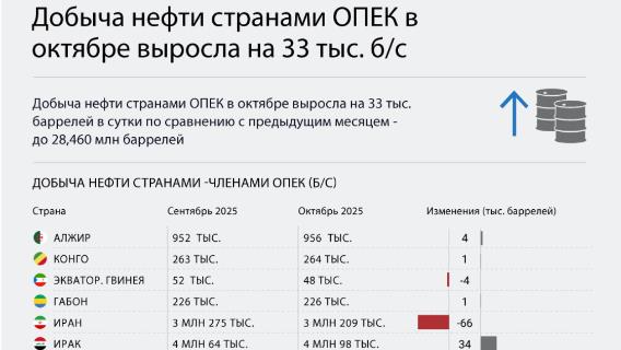 Добыча нефти странами ОПЕК в октябре выросла на 33 тыс. б/с 