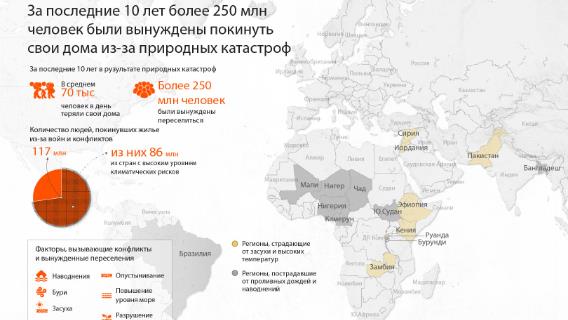 инфографика