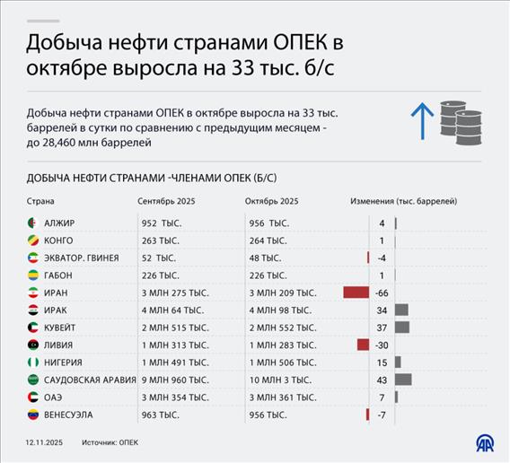 Добыча нефти странами ОПЕК в октябре выросла на 33 тыс. б/с 