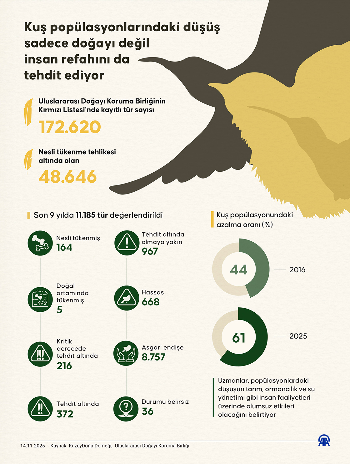 Kuş popülasyonlarındaki düşüş sadece doğayı değil insan refahını da tehdit ediyor
