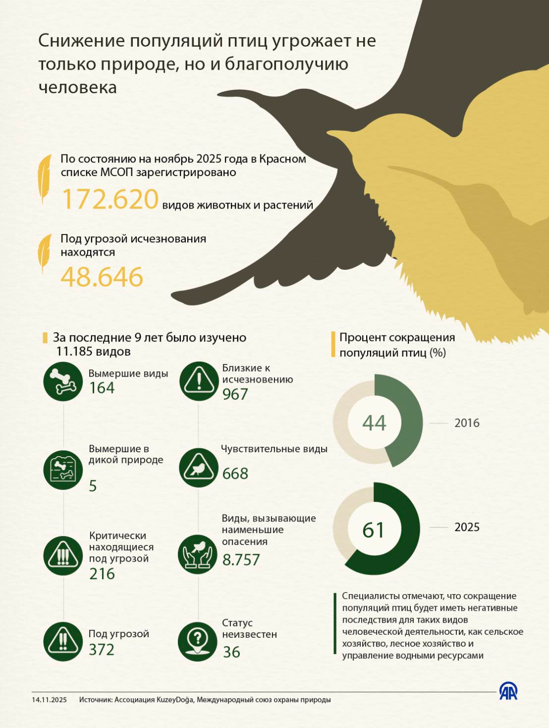 Сокращение популяций птиц угрожает не только природе, но и благополучию человека