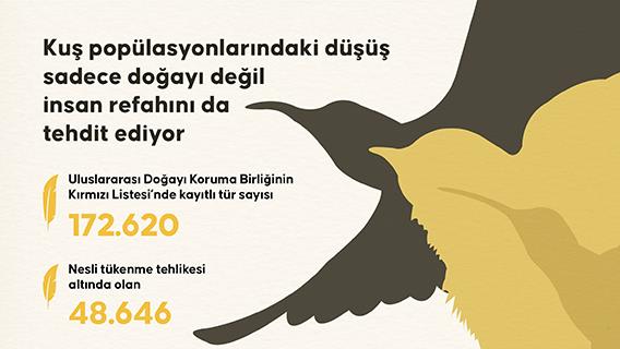 Kuş popülasyonlarındaki düşüş sadece doğayı değil insan refahını da tehdit ediyor