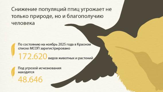 инфографика