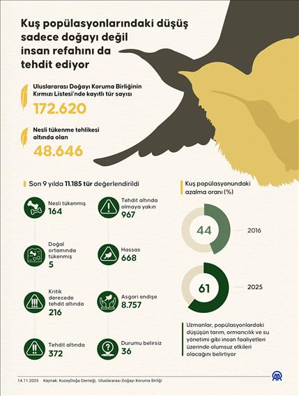 Kuş popülasyonlarındaki düşüş sadece doğayı değil insan refahını da tehdit ediyor