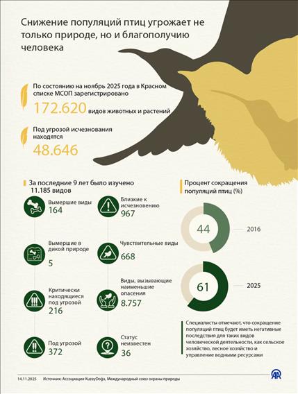 Сокращение популяций птиц угрожает не только природе, но и благополучию человека